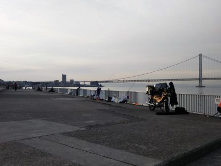 初夏なのに寒い・・・